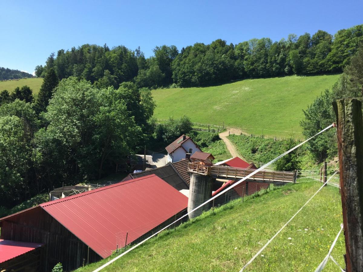 Haflingerhof Luef Villa Bad Schonau Exterior photo