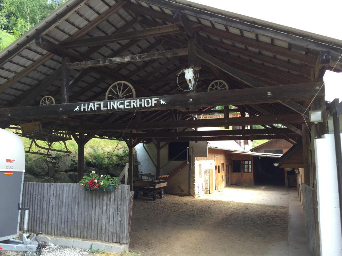 Haflingerhof Luef Villa Bad Schonau Exterior photo